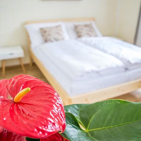 Hotel U Cmelaku Červená Voda Zewnętrze zdjęcie